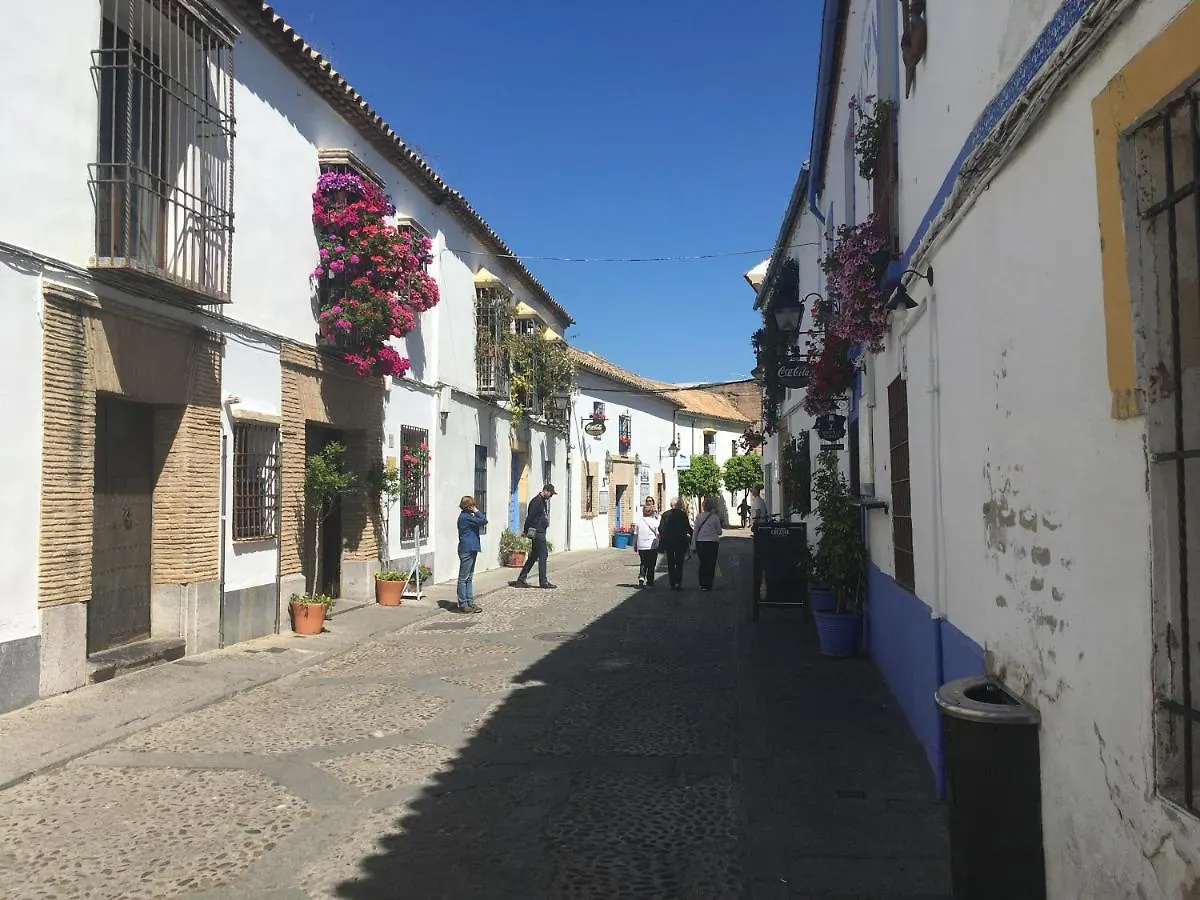 Conde De Vallellano コルドバ